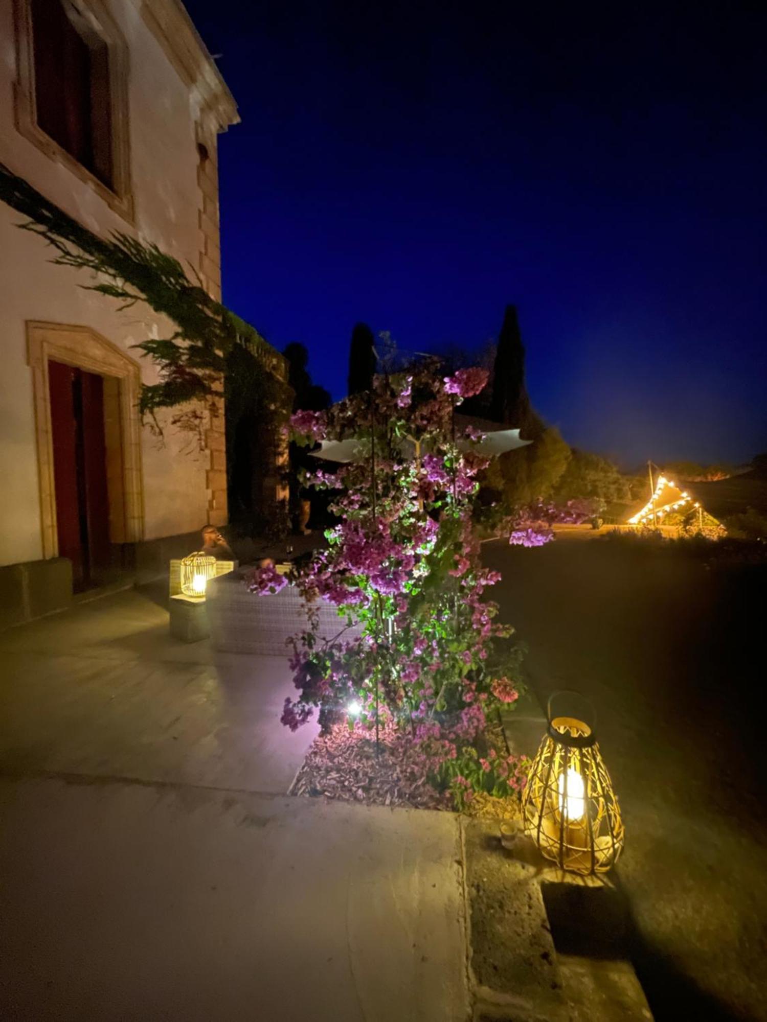 La Bellonette Marseillan  Exterior foto